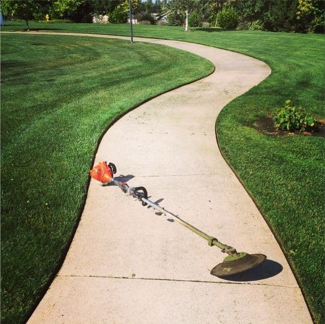 Green Jay Landscaping project photo