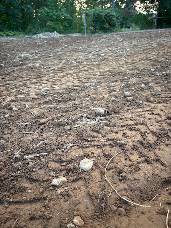 GreenAir Landscaping project photo