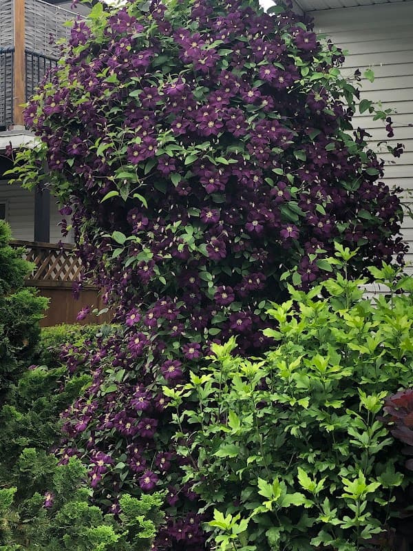 Greenearth Landscaping