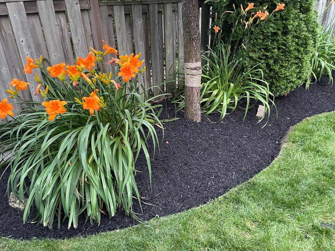 GreenLine Landscape Management photo 2