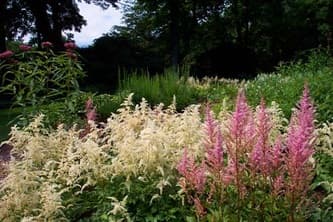 Greenway Lawn & Garden photo 3