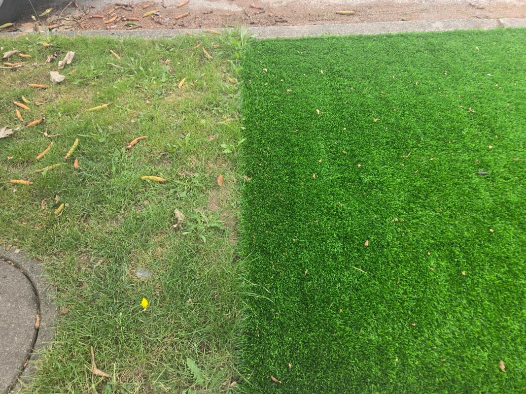 Hard Happy Landscaping LTD photo 2