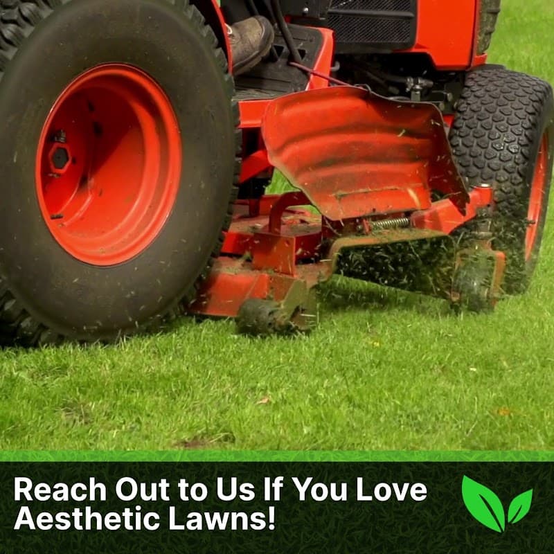 Harry's Lawn Care photo 3