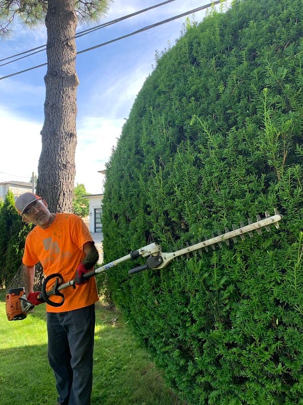 Hero First Landscaping photo 3