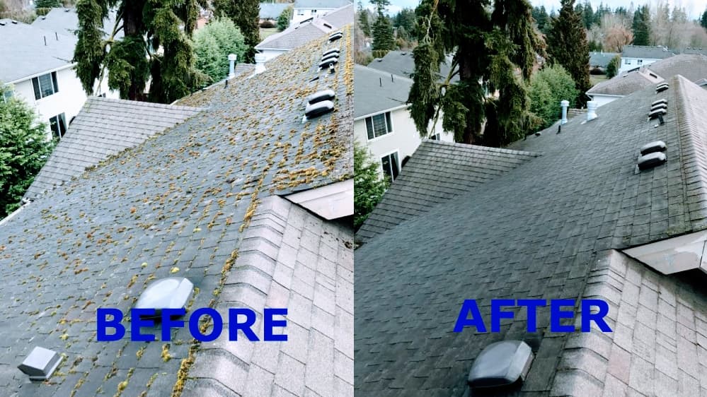 Heron Home Services project photo