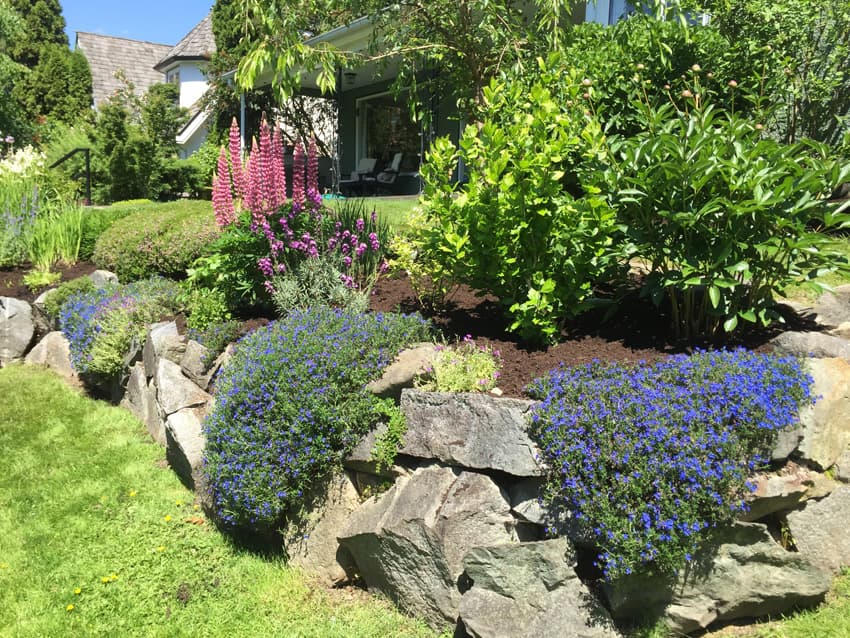 Higher Ground Gardens