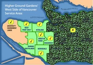 Higher Ground Gardens photo 4