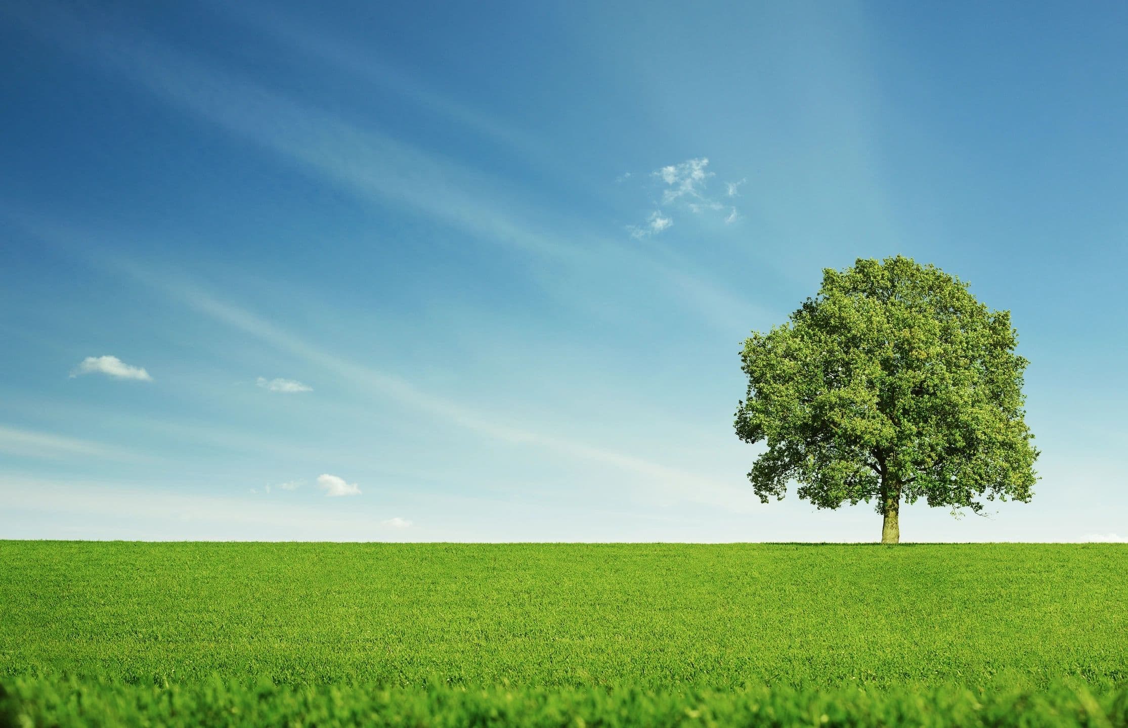 Hoff Tree Services LTD photo 2