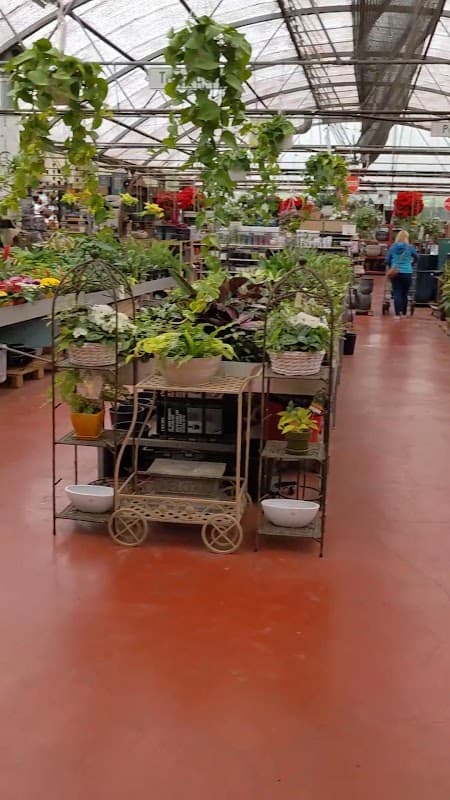 Homestead Nurseryland & Florist photo 3