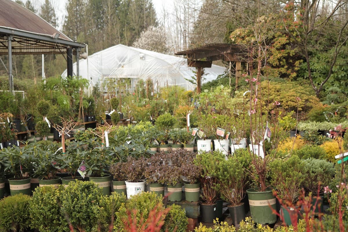 Homestead Nurseryland & Florist photo 5