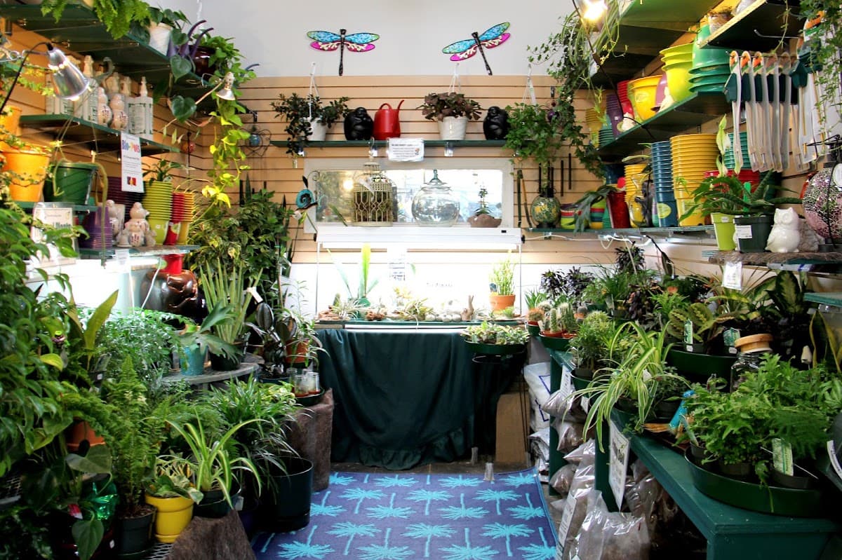 Hunters Garden Centre photo 3