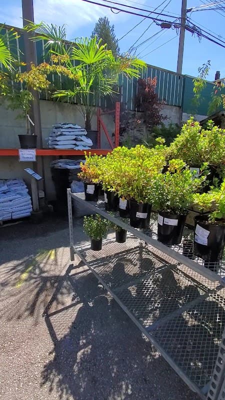 Hunters Garden Centre photo 4
