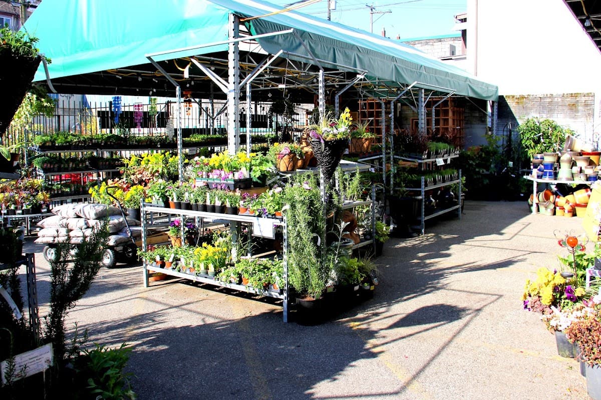 Hunters Garden Centre photo 5