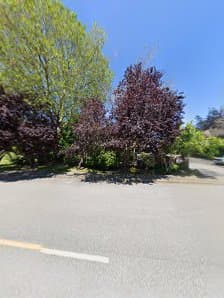 I.G. Landscaping and Gardening Services photo 3