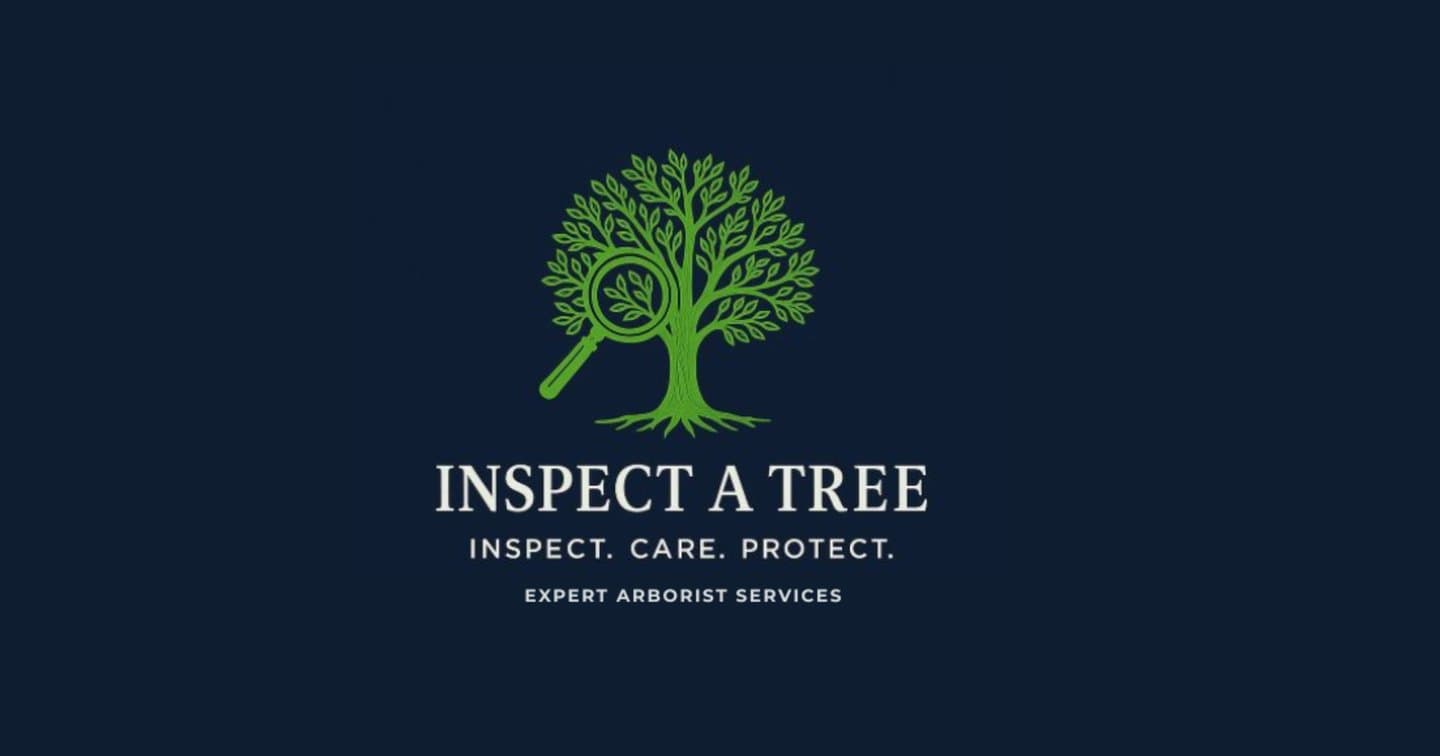 Inspect A Tree photo 5