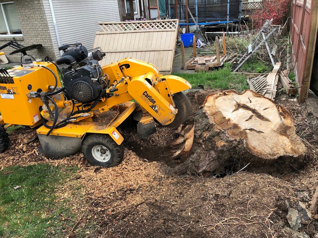 Jashan Landscaping & Gardening Ltd.