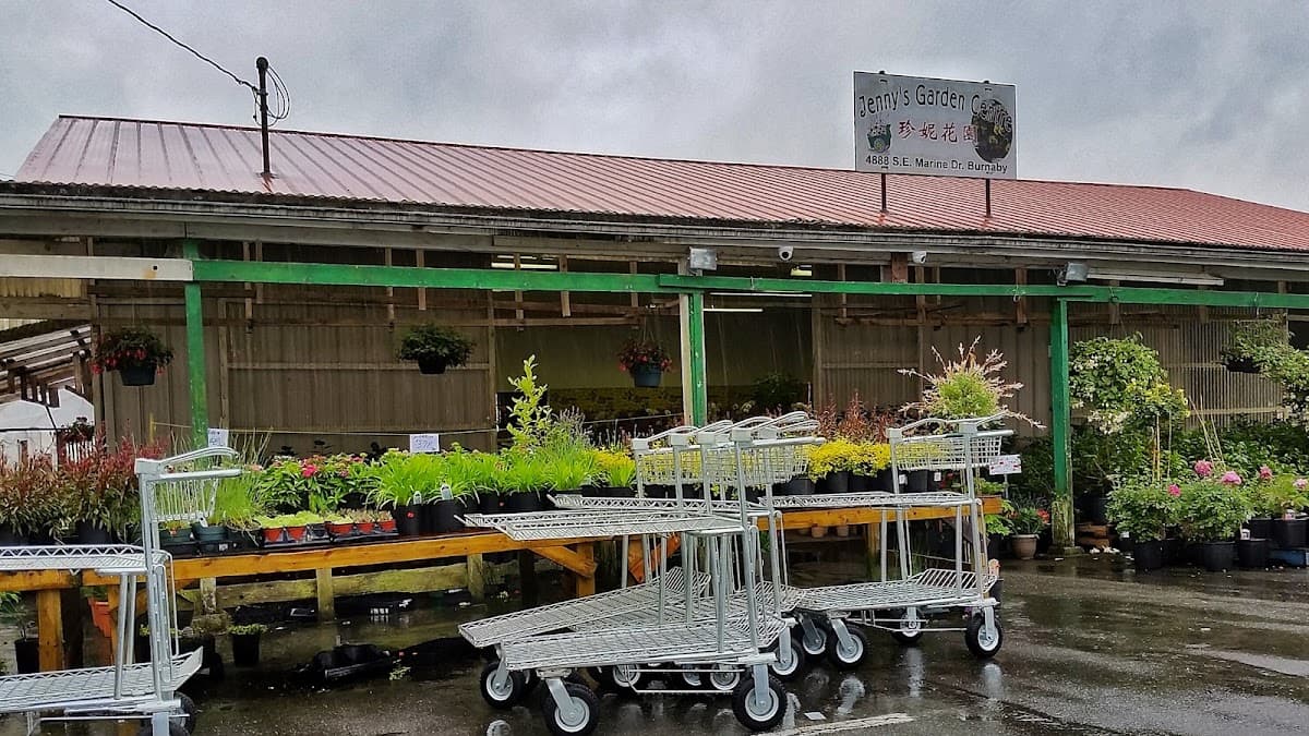 Jenny's Garden Centre photo 2