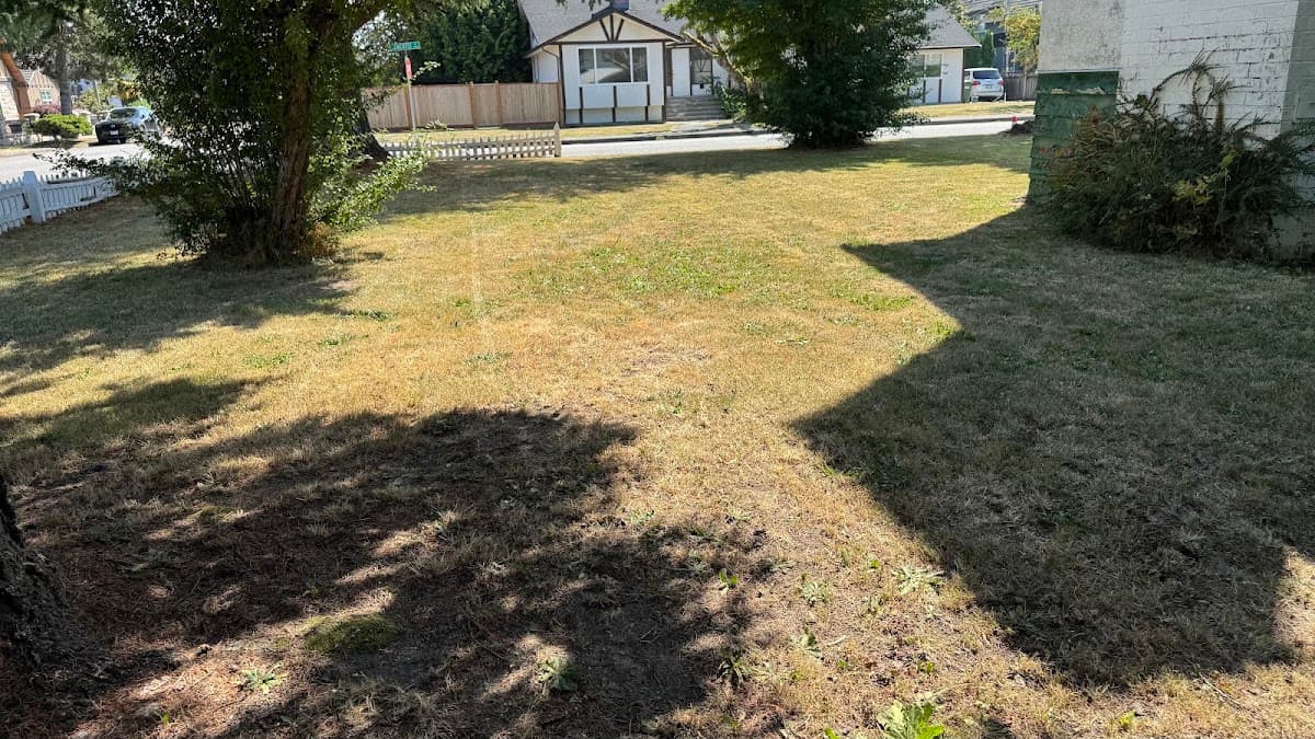 Ken & Sons Landscaping photo 2