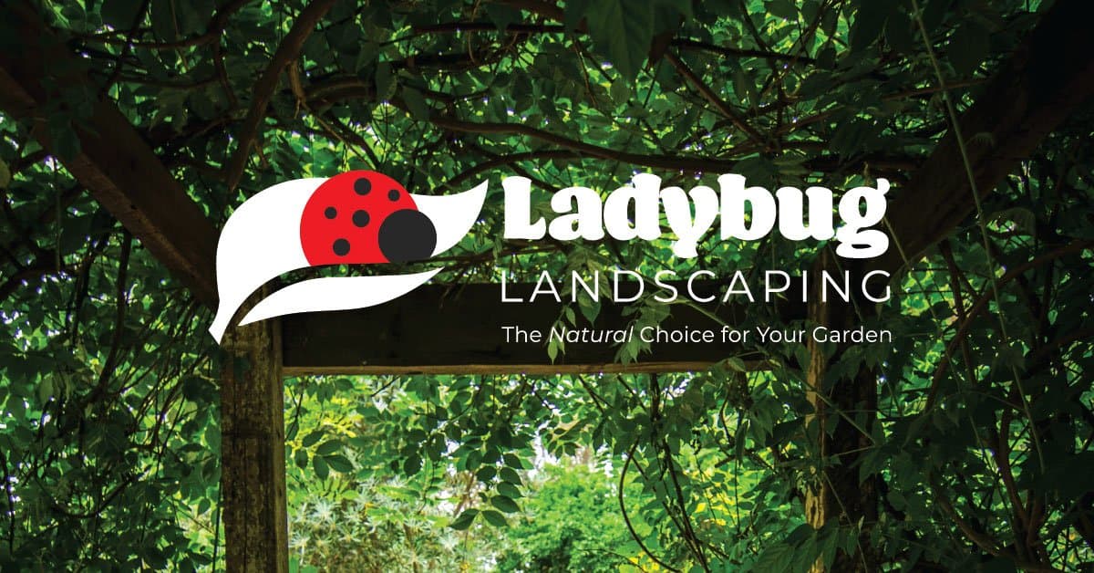 Ladybug Landscaping | Perfect Plants | Snow Angelz photo 3
