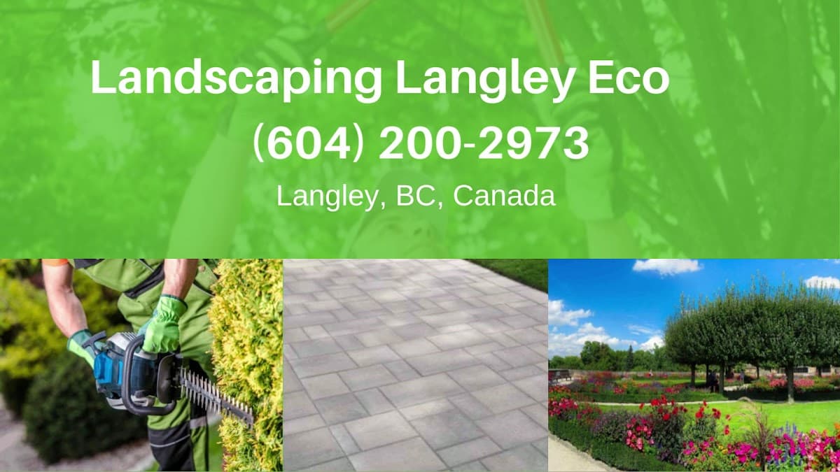 Landscaping Langley Ecoturf photo 3