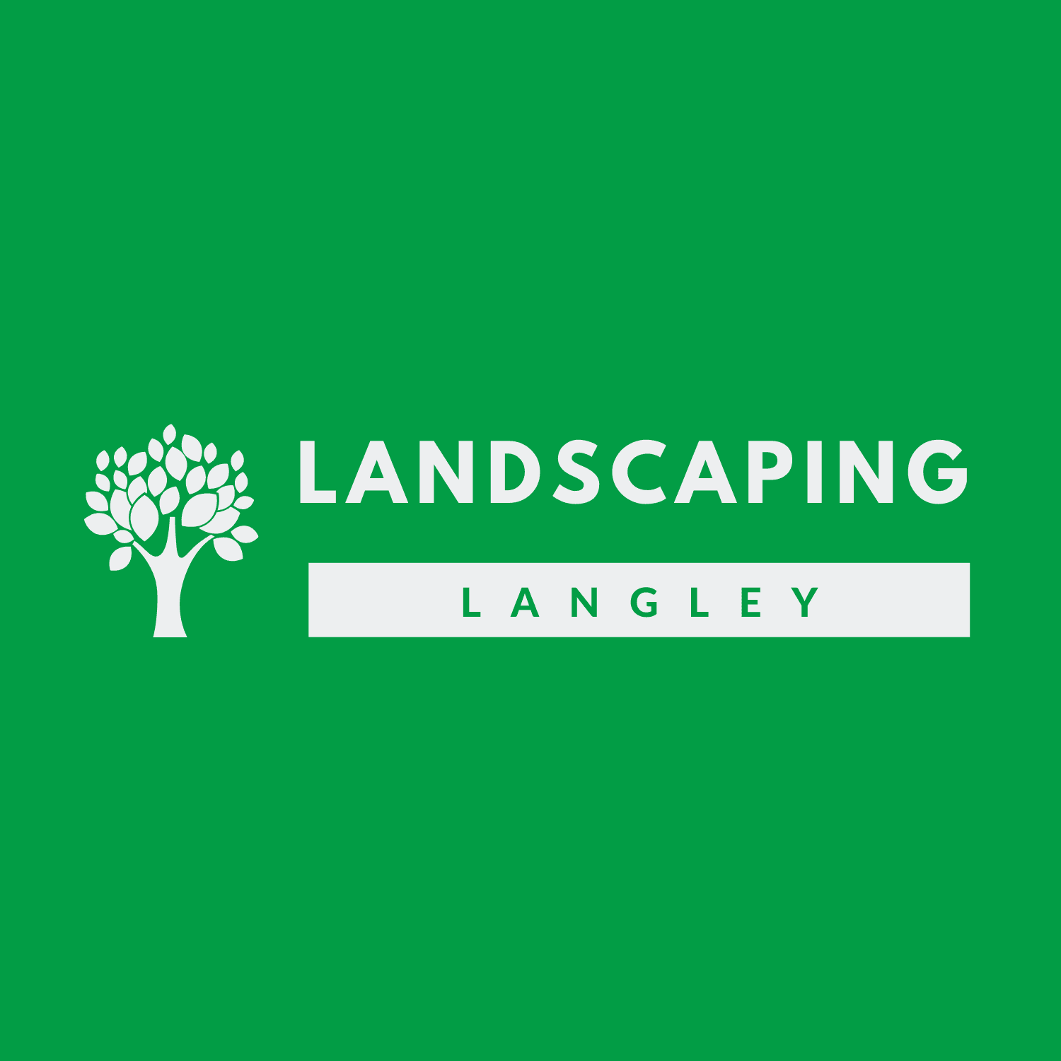 Landscaping Langley Ecoturf photo 5