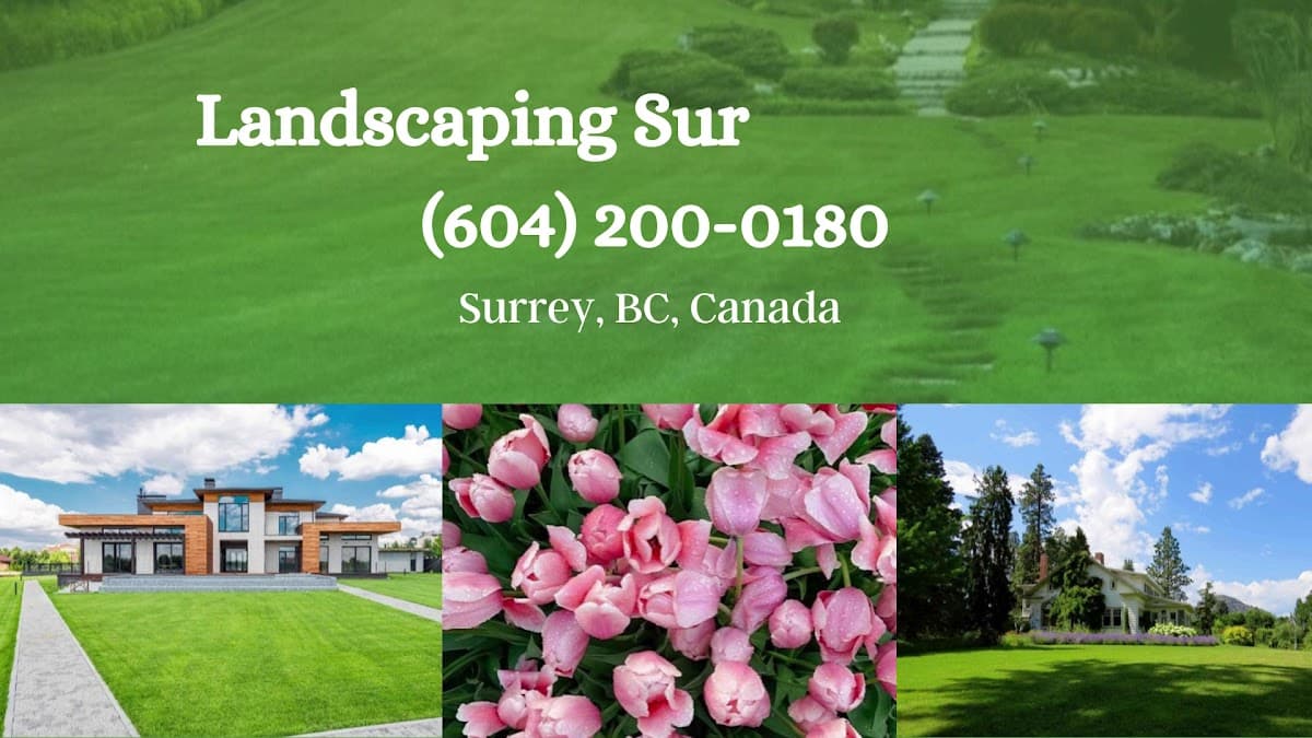 Landscaping Surrey blossom BC photo 3