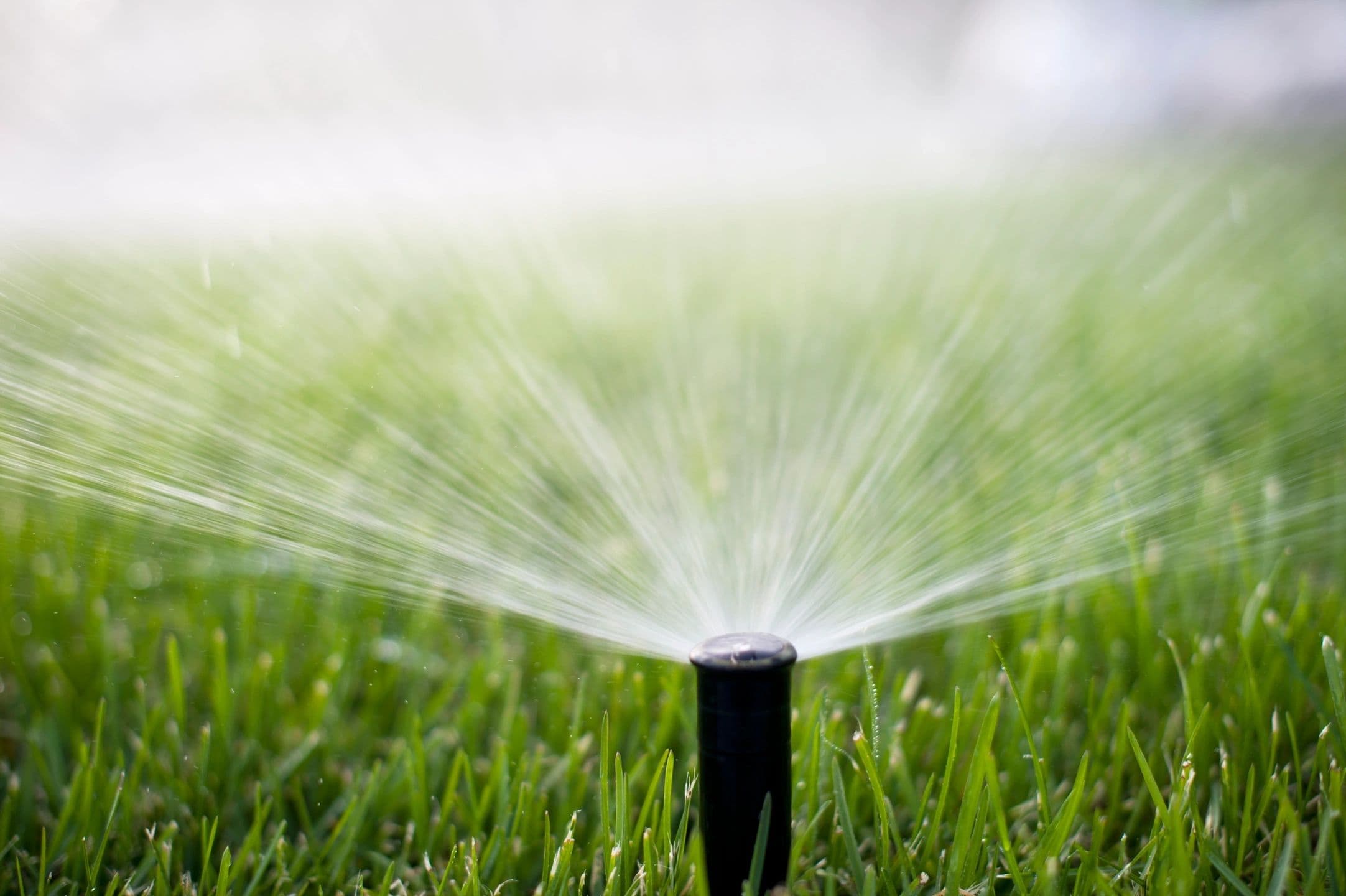 Lawn Care Pal photo 4