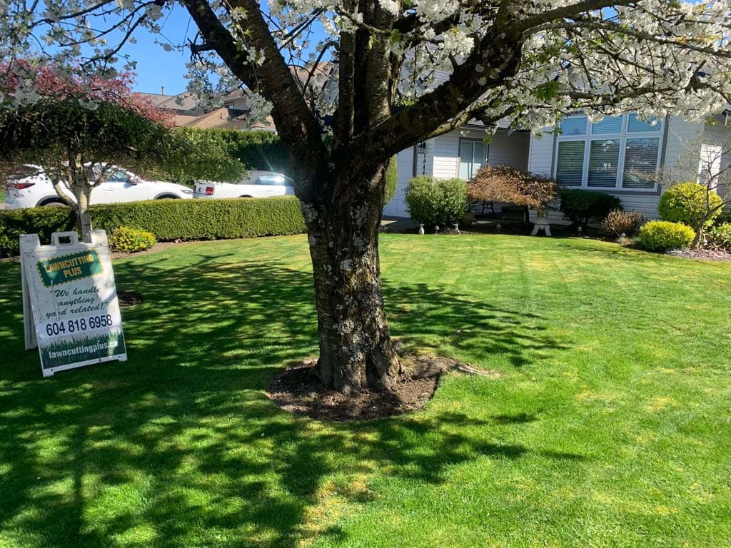 LawnCutting Plus project photo