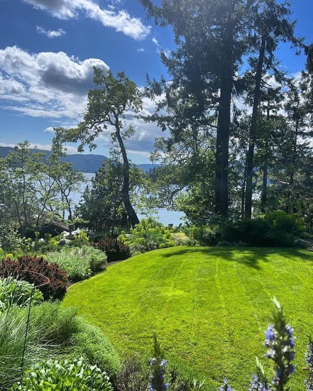 Lawngevity Lawn Care photo 4