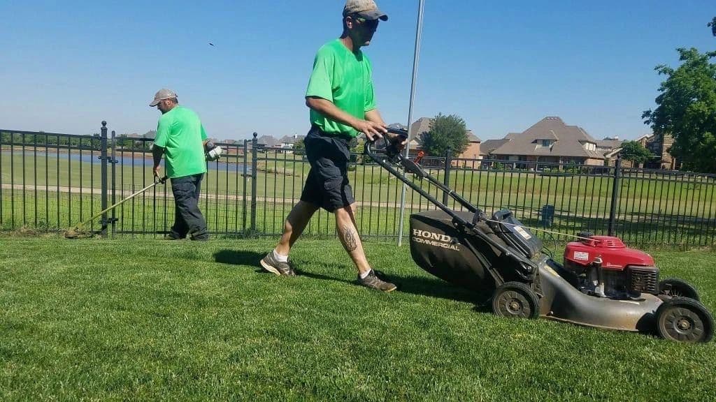 Lawngevity Lawn Care photo 6