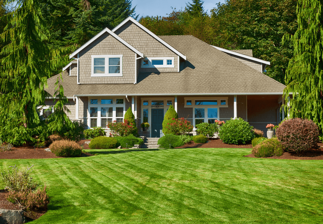 LawnPro Landscapes Ltd. photo 3
