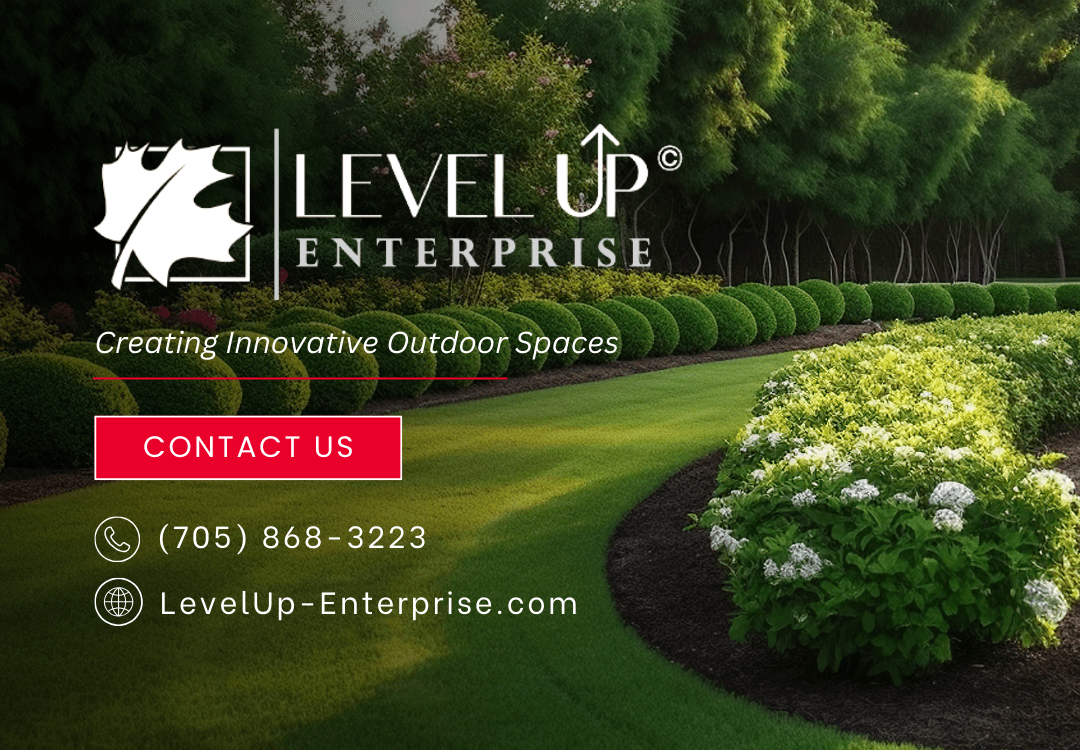 Level up Enterprise