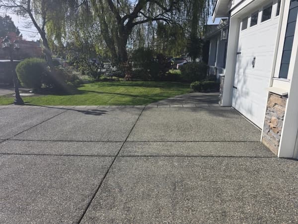 Level Up Landscapes Ltd. project photo
