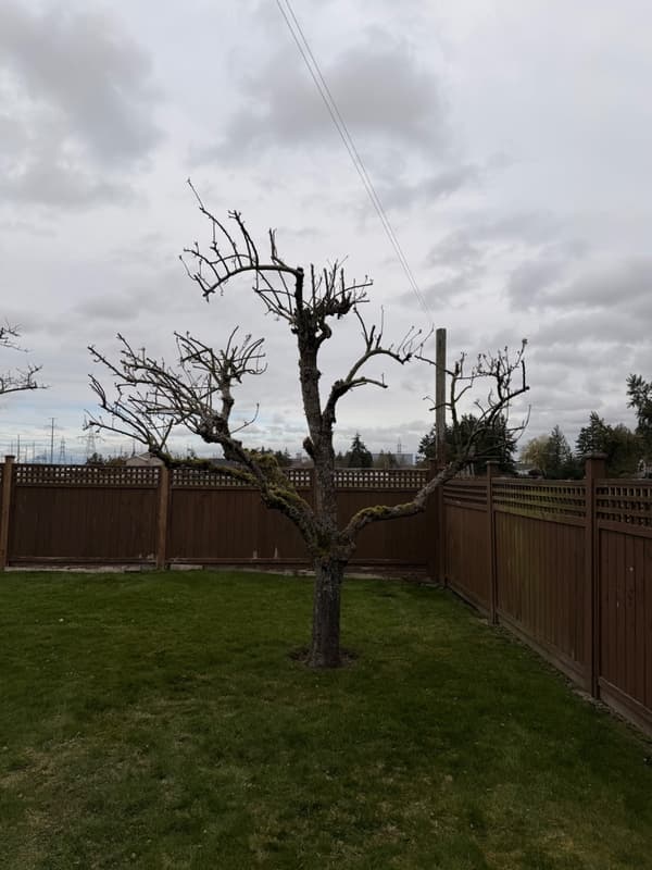 Level Up Landscapes Ltd. photo 2