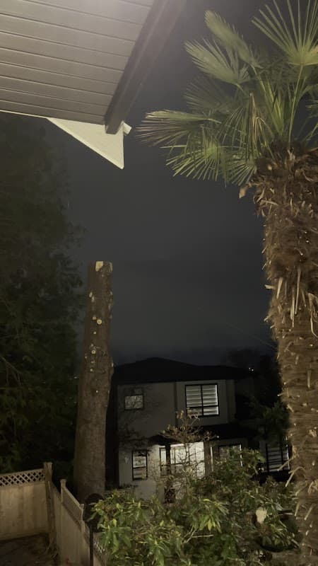 Limitless Tree Service photo 3