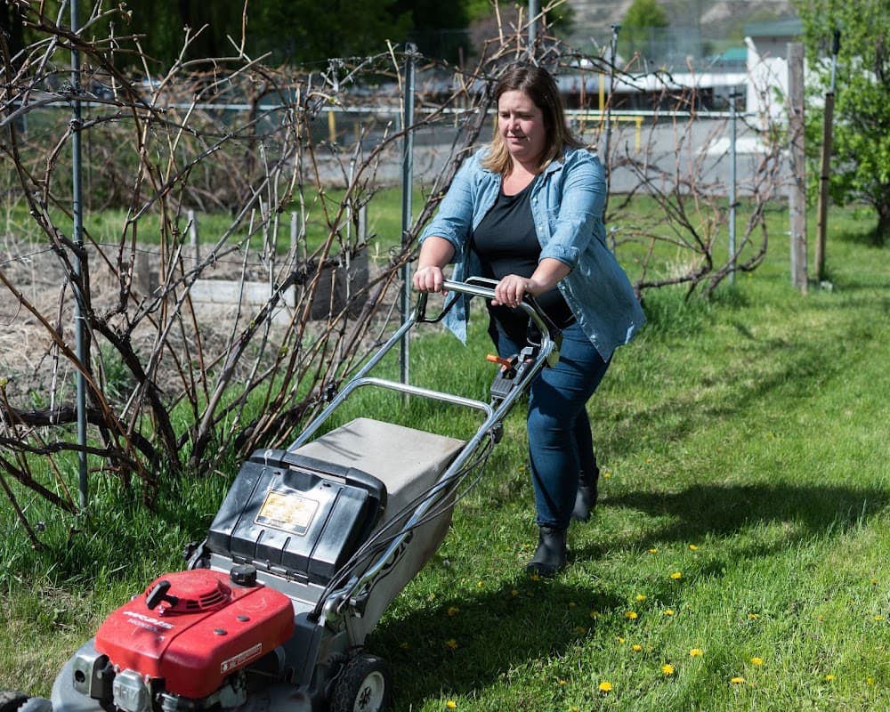 Little Bee Lawn Care
