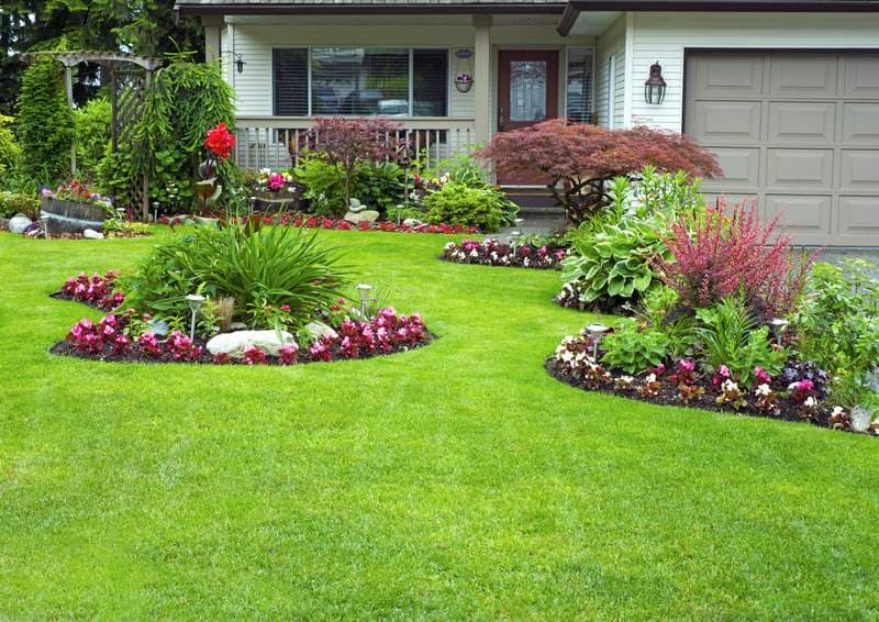 Little Bee Lawn Care photo 2
