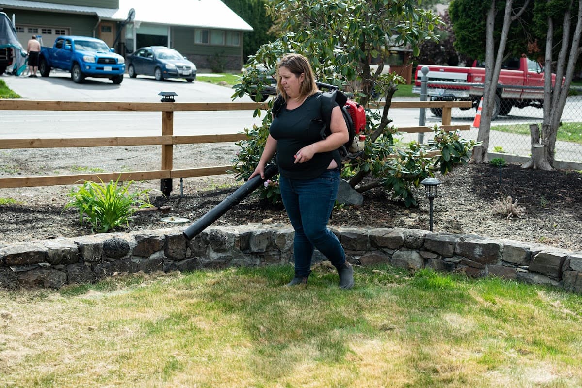 Little Bee Lawn Care photo 3