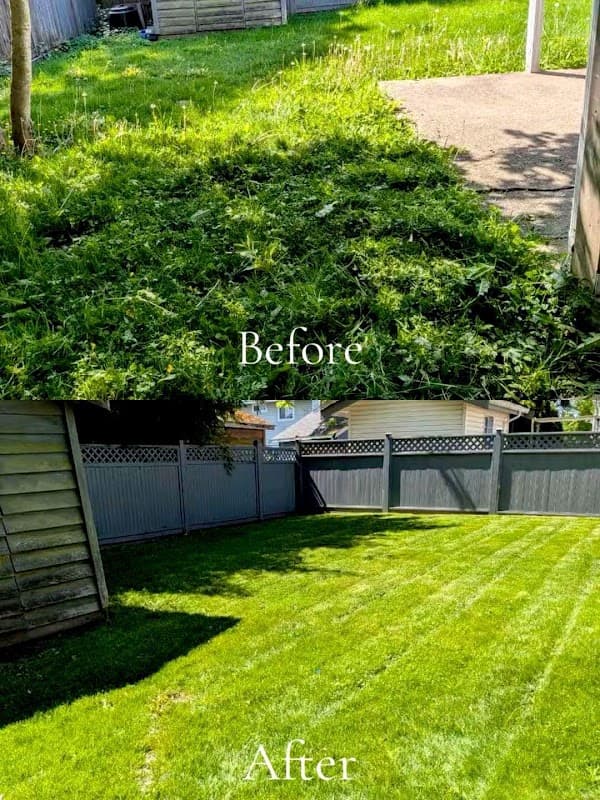 LM Lawn & Landscape