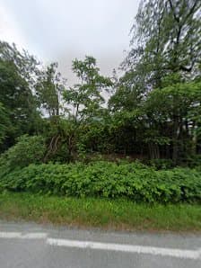 Logical Landscape Maintenance Ltd photo 3
