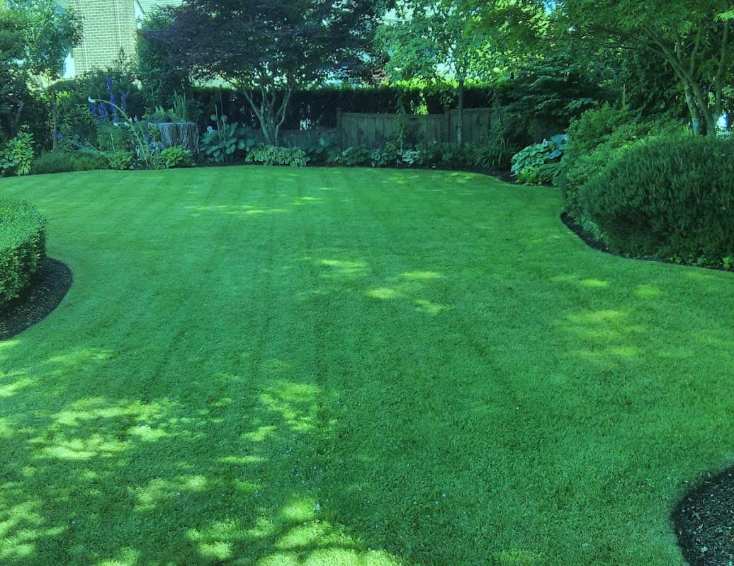 Lush Lawns
