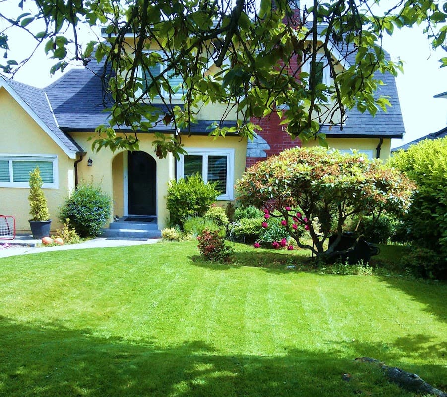 Lush Lawns photo 2