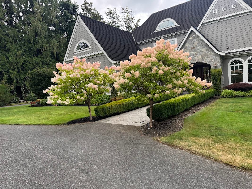 Lushgreen Landscapers Ltd. photo 2