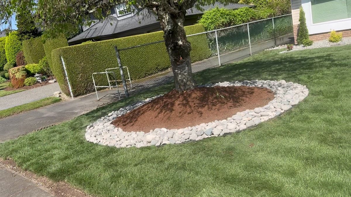 Lushgreen Landscapers Ltd. photo 5