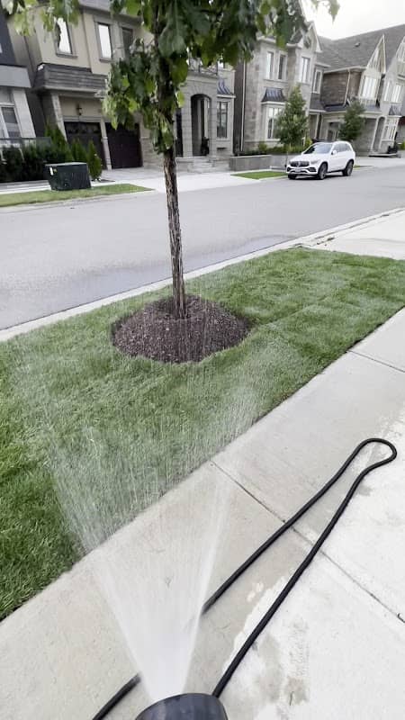 M Landscaping Ltd. photo 3
