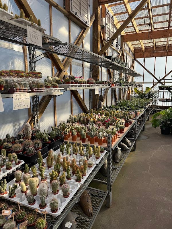 Maple Leaf Garden Centre photo 2