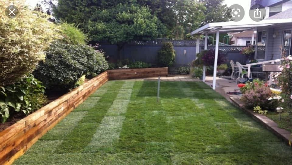 Masteryaggy's Lawn Maintenance