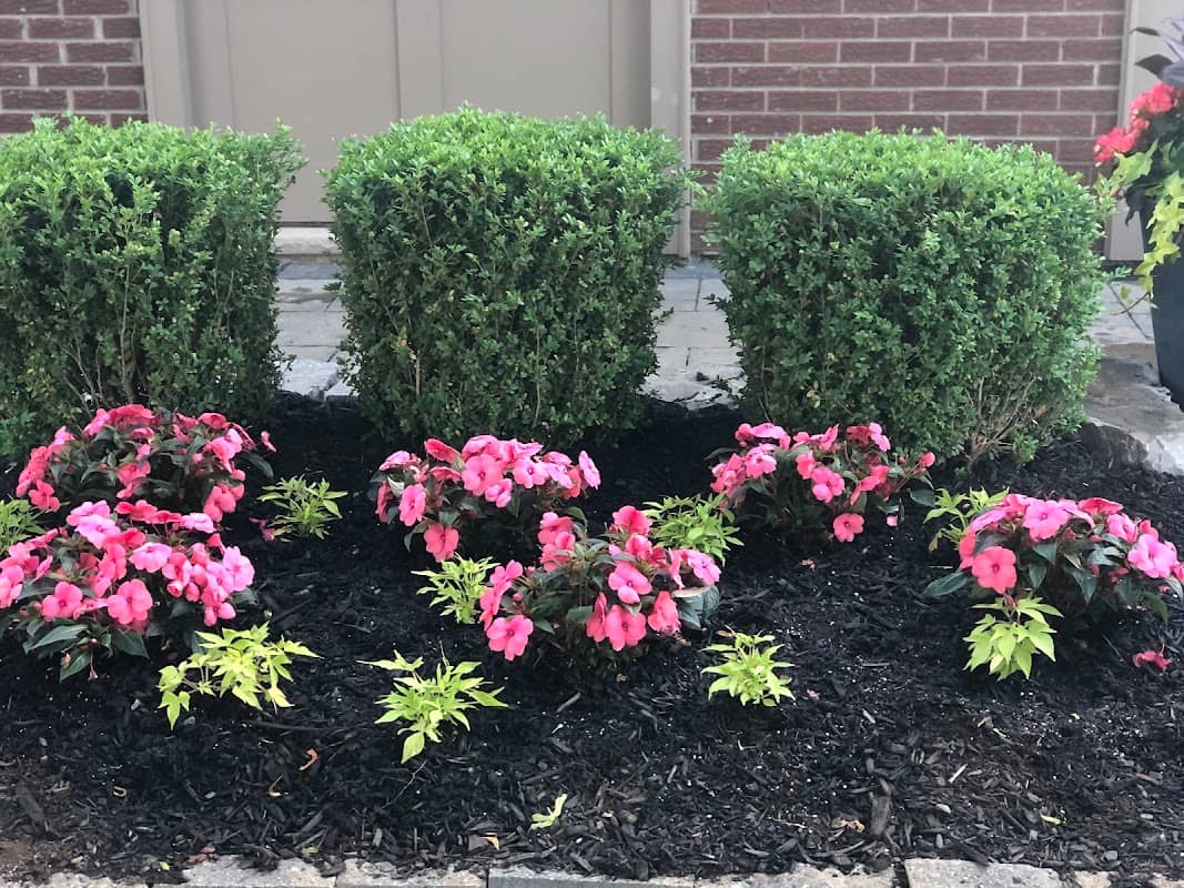 Maximus Jardin inc