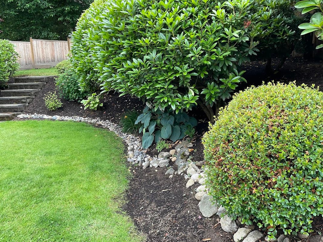 Medina landscape service