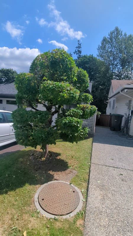 Michael Landscaping Ltd. photo 2